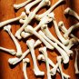 10 Real Mink Leg Bones – Cleaned Bleached Specimen Jewelry Making, Altar, Crafts