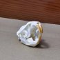 Real Brown Rat Skull – Genuine Rodent Bone Specimen for Art, Crafts, or Display