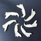 10 Real Mink Jawbones – Cleaned Bone Specimens for Jewelry, Crafts & Decor