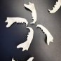 10 Real Mink Jawbones &acirc;�� Cleaned Bone Specimens for Jewelry, Crafts & Decor