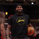 LA Lakers Lebron James Sleeveless Hoodie