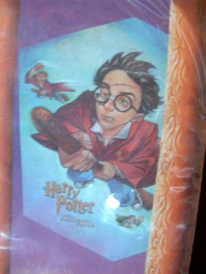 FLIGHT ZONE Harry Potter 40" Hex Kite with String and Holder