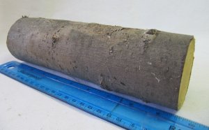 Small Russian Olivewood Log with Bark Turning Wood 9x2.5 in