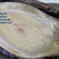 Small Russian Olivewood Log with Bark Turning Wood 9x2.5 in