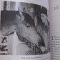 Seabiscuit by Laura Hillenbrand Paperback NYT Bestseller