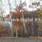 Digital Art JPG Photo Cutler Park Charles River Scene Early Fall No. 1
