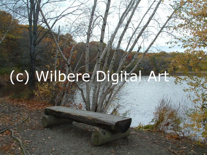Digital Art JPG Photo Cutler Park Charles River Scene Early Fall Bench