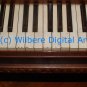 Digital Art JPG Photo c 1875 Hallet Davis Baby Grand Piano Keys
