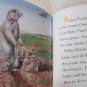 Prairie Dog: At Home on The Range by Sarah Toast Children's Paperback Book