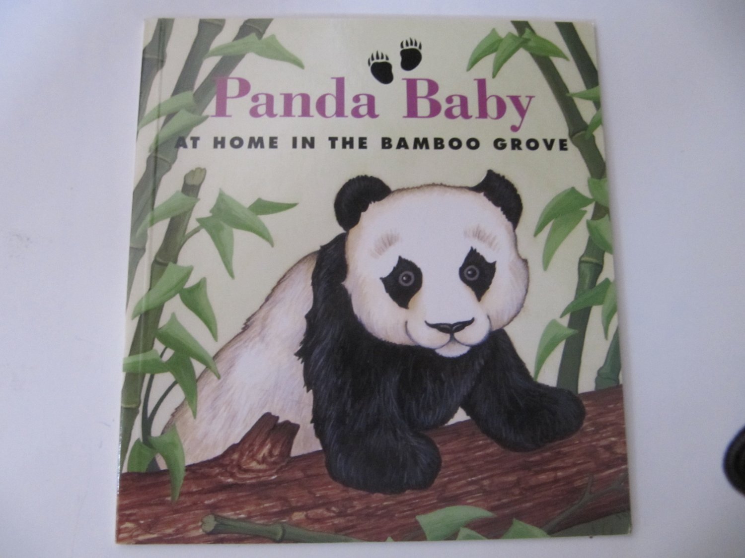 Panda Baby At Home In The Bamboo Grove By Sarah Toast