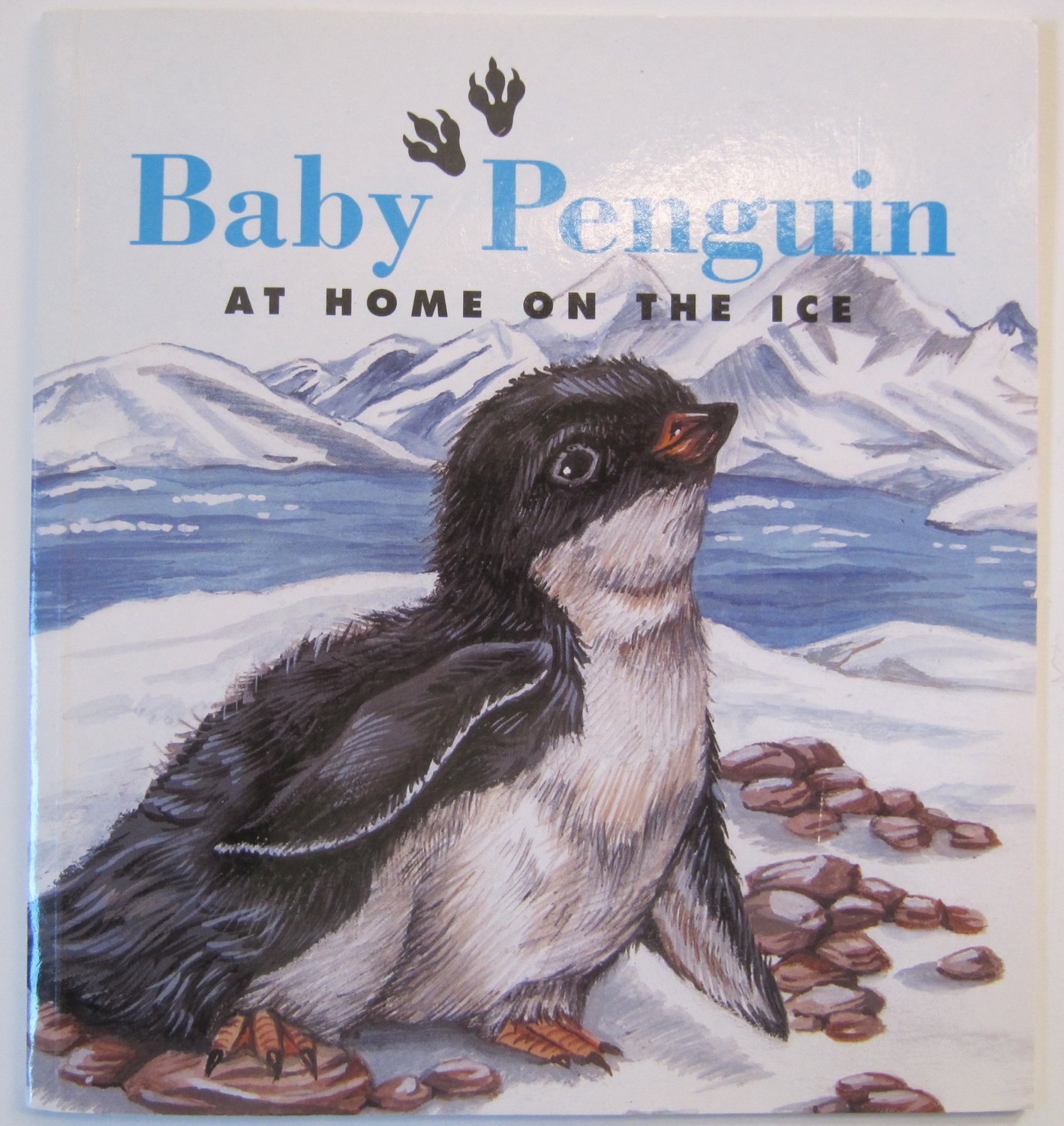 Baby Penguin At Home On The Ice By Jennifer Boudart Children's ...