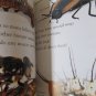 Bugs! Bugs! Bugs! DK Eyewitness Readers Level 2 Paperback Children's Book by Jennifer Dussling