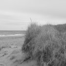 "Dune" - 8x10 - Original Black and White Photo - signed