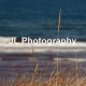 Seascapes