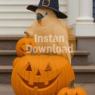 Parrot with Witch Hat & Pumpkins | Cute Halloween Wall Art Digital Print