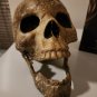 Supernatural (2005-2020) Original Screen Used Ritual Skull Movie Prop