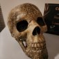 Supernatural (2005-2020) Original Screen Used Ritual Skull Movie Prop