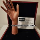 AMC The Walking Dead Original Production Used Store Display Hand Movie Prop AMC The Walking Dead Original Production Used Store Display Hand Movie Prop