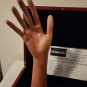 AMC The Walking Dead Original Production Used Store Display Hand Movie Prop