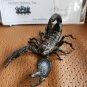 The Mummy Returns (2001) Original Screen Used Mummy Tomb Scorpion Movie Prop