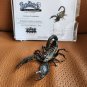 The Mummy Returns (2001) Original Screen Used Mummy Tomb Scorpion Movie Prop