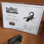 The Mummy Returns (2001) Original Screen Used Mummy Tomb Scorpion Movie Prop
