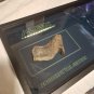 Alien Resurrection Original Screen Used Xenomorph Tail Section Piece Movie Prop