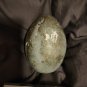 Jack and the Beanstalk The Real Story Original Screen Used Golden Egg Movie Prop