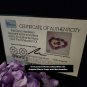 Marvel Venom Let There Be Carnage Original Screen Used Flower Decorations Prop