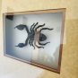 The Mummy Returns 2001 Original Screen Used Mummy Tomb Scorpion Frame Movie Prop