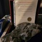 Slither 2006 Original Screen Used Long Piece of Gray Meteor Shell Movie Prop