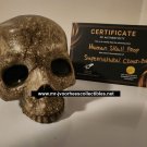 Supernatural (2005-2020) Original Screen Used Ritual Human Skull Movie Prop