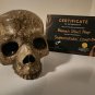 Supernatural (2005-2020) Original Screen Used Ritual Human Skull Movie Prop