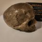Supernatural (2005-2020) Original Screen Used Ritual Human Skull Movie Prop
