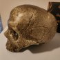 Supernatural (2005-2020) Original Screen Used Ritual Human Skull Movie Prop