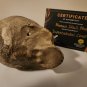 Supernatural (2005-2020) Original Screen Used Ritual Human Skull Movie Prop
