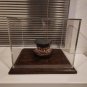 Nightmare on Elm Street 4 Lifesize Freddy Krueger Teeth Original Mold Movie Prop