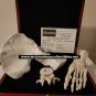 AMC The Walking Dead Original Production Used Human Grave Bones Set Movie Prop