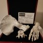 AMC The Walking Dead Original Production Used Human Grave Bones Set Movie Prop
