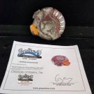 Vin Diesel The Chronicles of Riddick 2004 Convict Breathing Device Movie Prop Vin Diesel The Chronicles of Riddick 2004 Convict Breathing Device Movie Prop