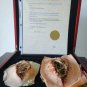 Van Helsing TV Show Original Screen Used Vampire Sam Elder Pods Movie Prop