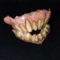 Extremely Rare! Van Helsing TV Show Original Screen Used Vampire Teeth MovieProp