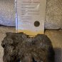 Slither 2006 Original Screen Used Big Piece of Gray Meteor Shell Movie Prop