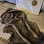 Slither 2006 Original Screen Used Big Piece of Gray Meteor Shell Movie Prop