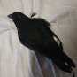 Extremely Rare! Sons of Anarchy Original Screen Used Gemma Dead Crow Movie Prop