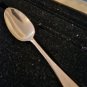 Steamer Vernon 1887 Sunken Ship Treasure Silver Spoon