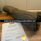 The Mummy Returns (2001) Original Production Used Mummy Leg Movie Prop