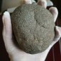Extremely Rare! Stephen King IT Original Screen Used Rock From Derry Movie Prop