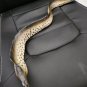 Extremely Rare! HBO True Blood Original Production Used Bayou Movie Prop