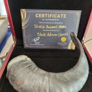 Extremely Rare! DC Universe Black Adam Original Screen Used Shield Horn Prop